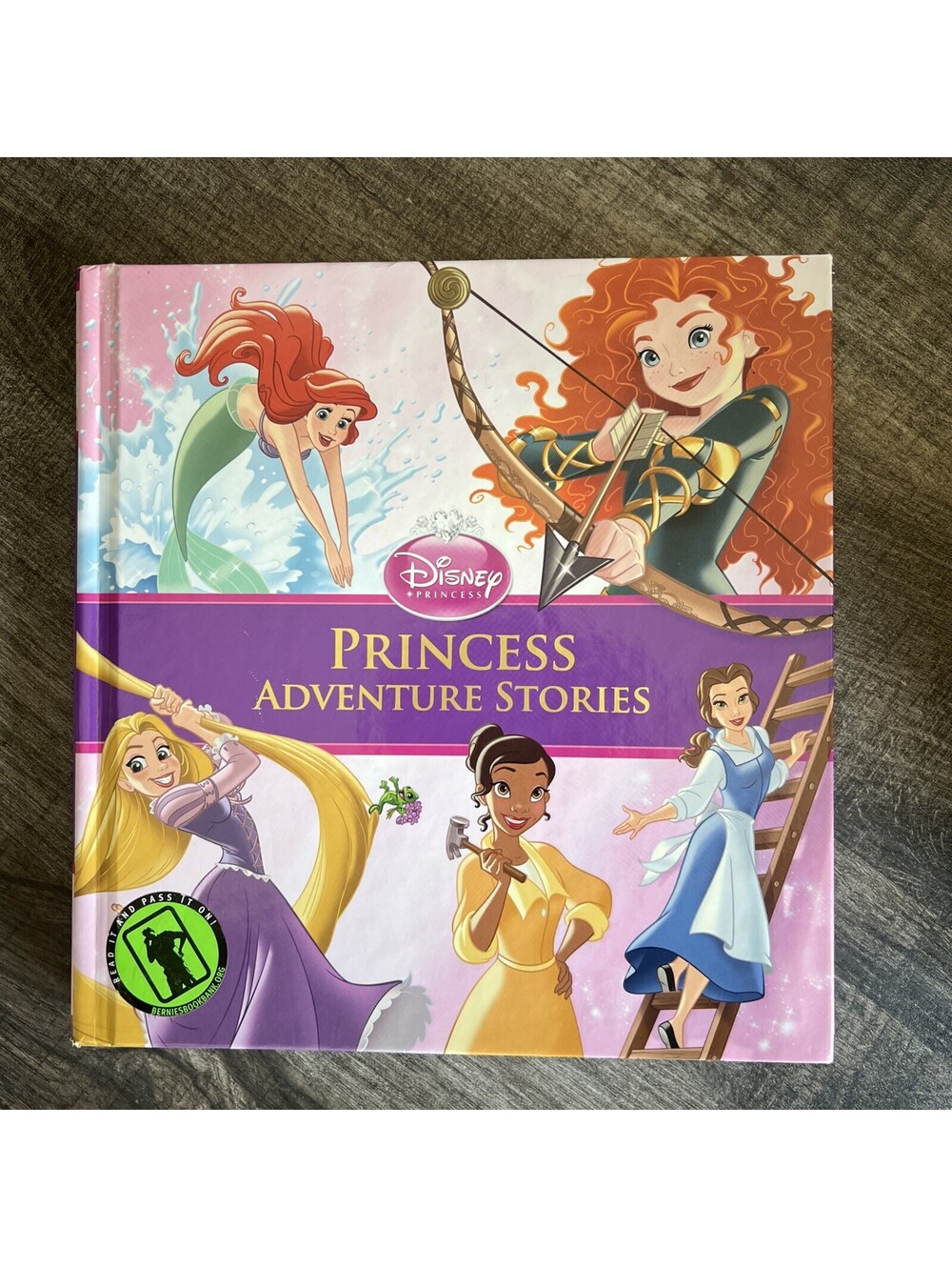 Princess Adventure Stories by Disney Books (2013, Hardcover)